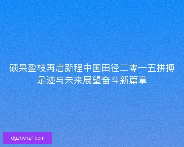 硕果盈枝再启新程中国田径二零一五拼搏足迹与未来展望奋斗新篇章