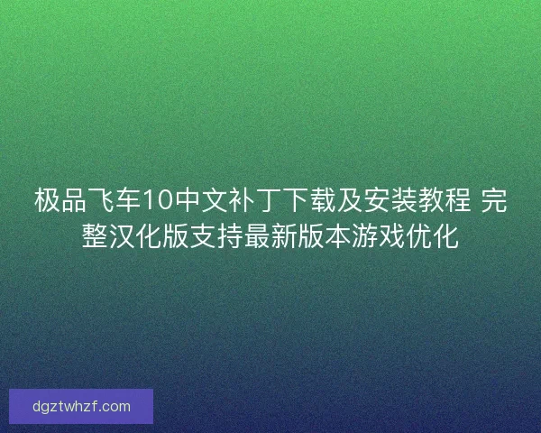 极品飞车10中文补丁下载及安装教程 完整汉化版支持最新版本游戏优化