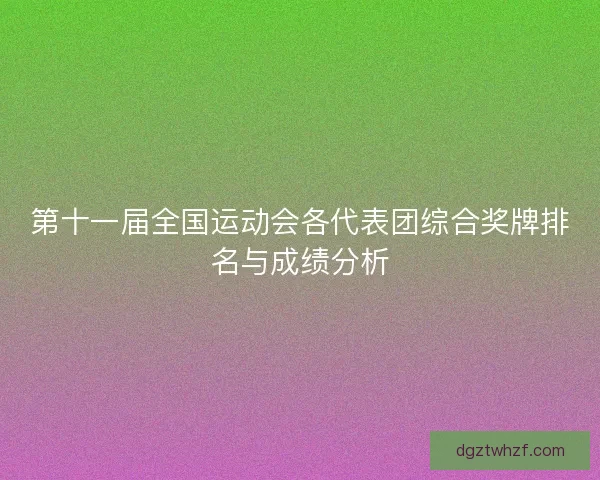 第十一届全国运动会各代表团综合奖牌排名与成绩分析