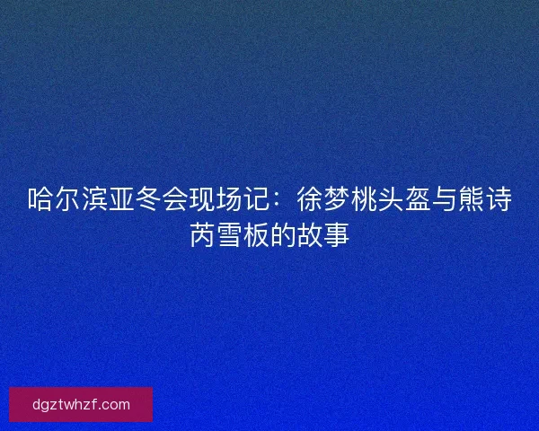哈尔滨亚冬会现场记:徐梦桃头盔与熊诗芮雪板的故事 哈尔滨亚冬会现场记:徐梦桃头盔与熊诗芮雪板的故事