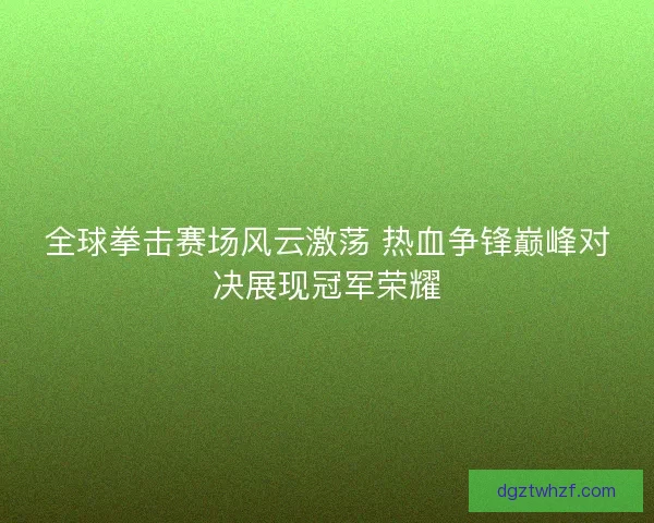 全球拳击赛场风云激荡 热血争锋巅峰对决展现冠军荣耀 全球拳击赛场风云激荡 热血争锋巅峰对决展现冠军荣耀
